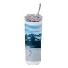 20 oz. Stainless Steel Skinny Tumbler with Lid and Straw