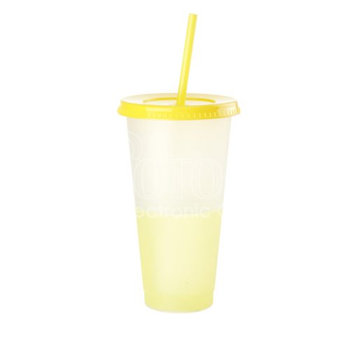 700 ml Custom Color Changing Straw Cups